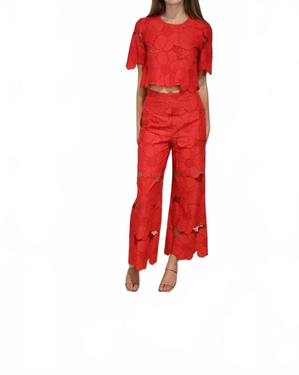 NEW NEVER A WALLFLOWER 1/2 sleeve crop top in red floral